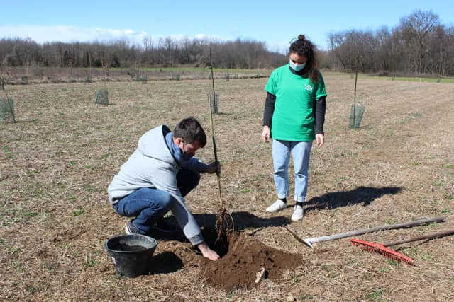 Progetto Green Hotel Le Grazie per la forestazione urbana a Busto Arsizio. Turismo Eco-sostenibile