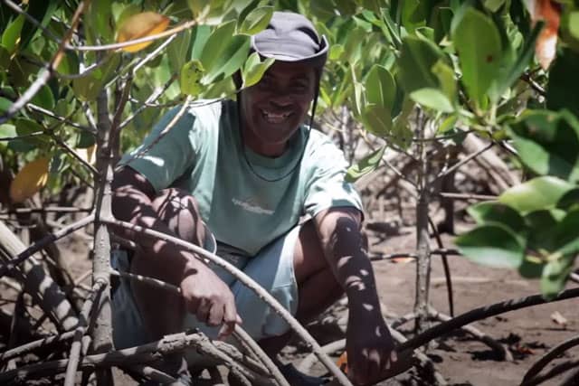 Progetto Green Hotel Le Grazie per le foreste di mangrovie inMadagascar. Turismo Eco-sostenibile