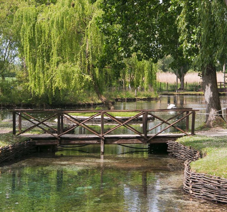 Le Fonti del Clitunno holiday packages and offers - Hotel Le Grazie Assisi